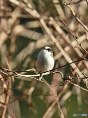 あっという間の一年だったなぁ･･･