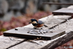 美味しそうだな～
