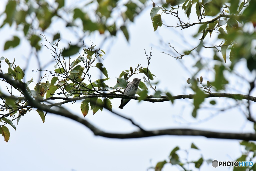 はじめまして！ ②