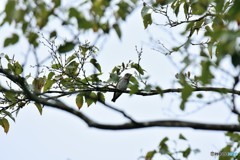 はじめまして！ ②