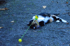 離さないもんね～