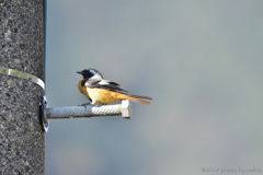 小休止 Ⅱ 小休止 Ⅱ