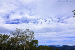 山伏岳山頂から