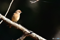 感慨にふける 感慨にふける