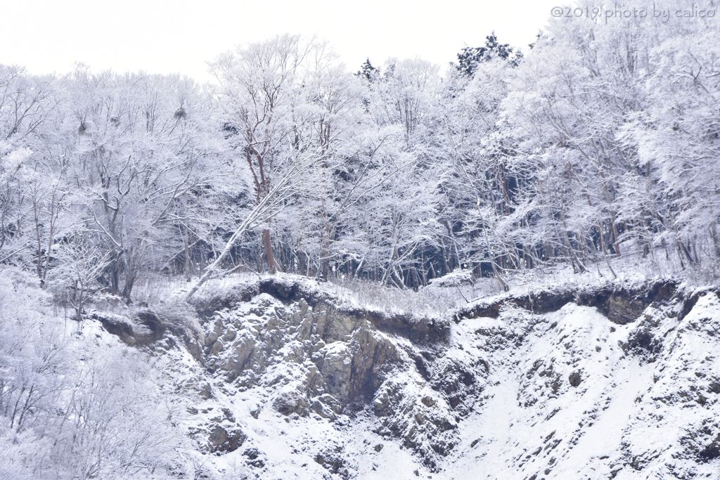 白雪
