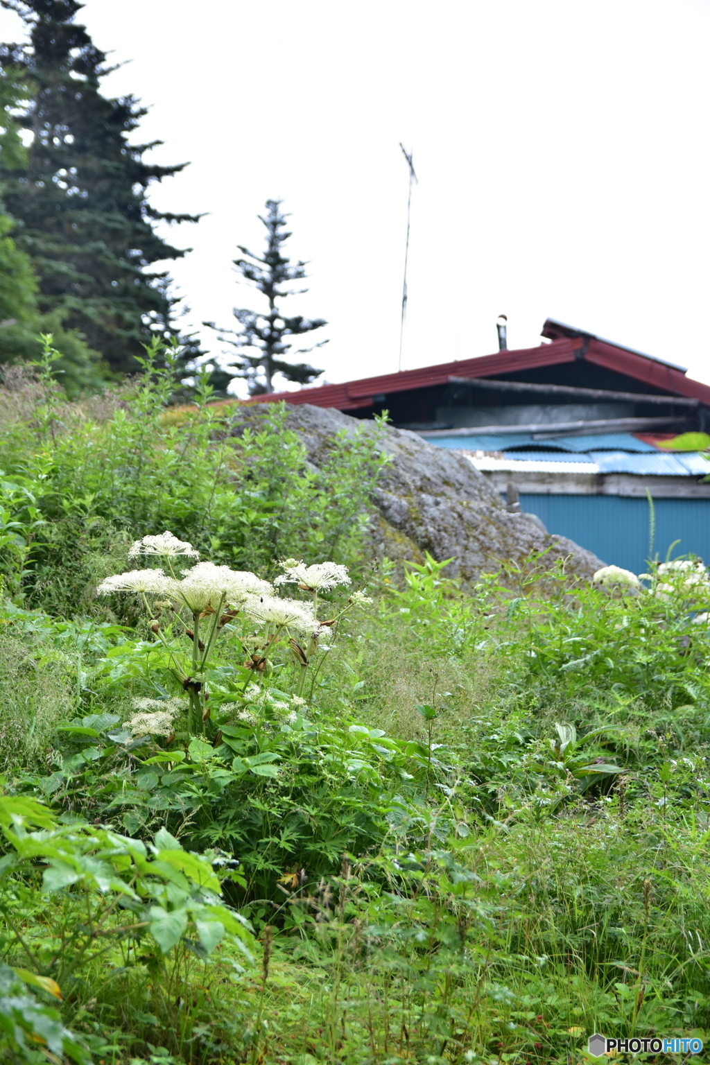 忘れられない山小屋 ②
