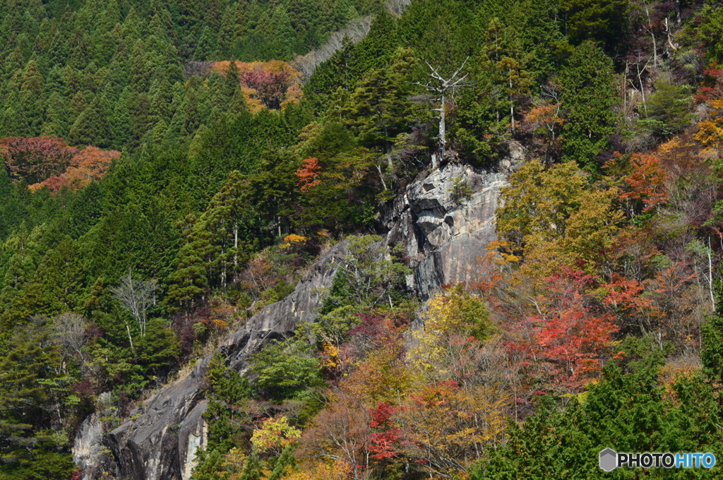 終点の岩場