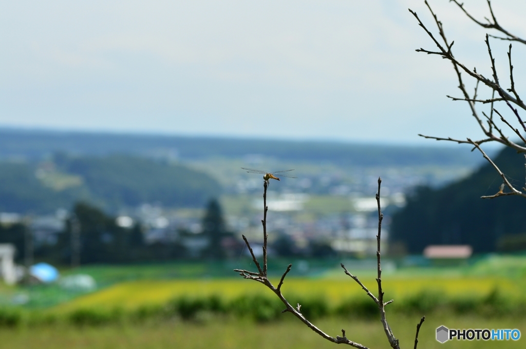 茅野の大地を見つめて