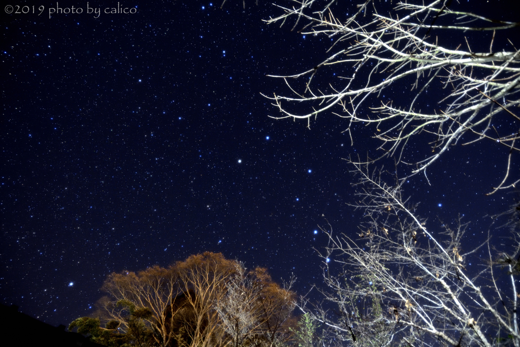 満天の星空 Ⅱ