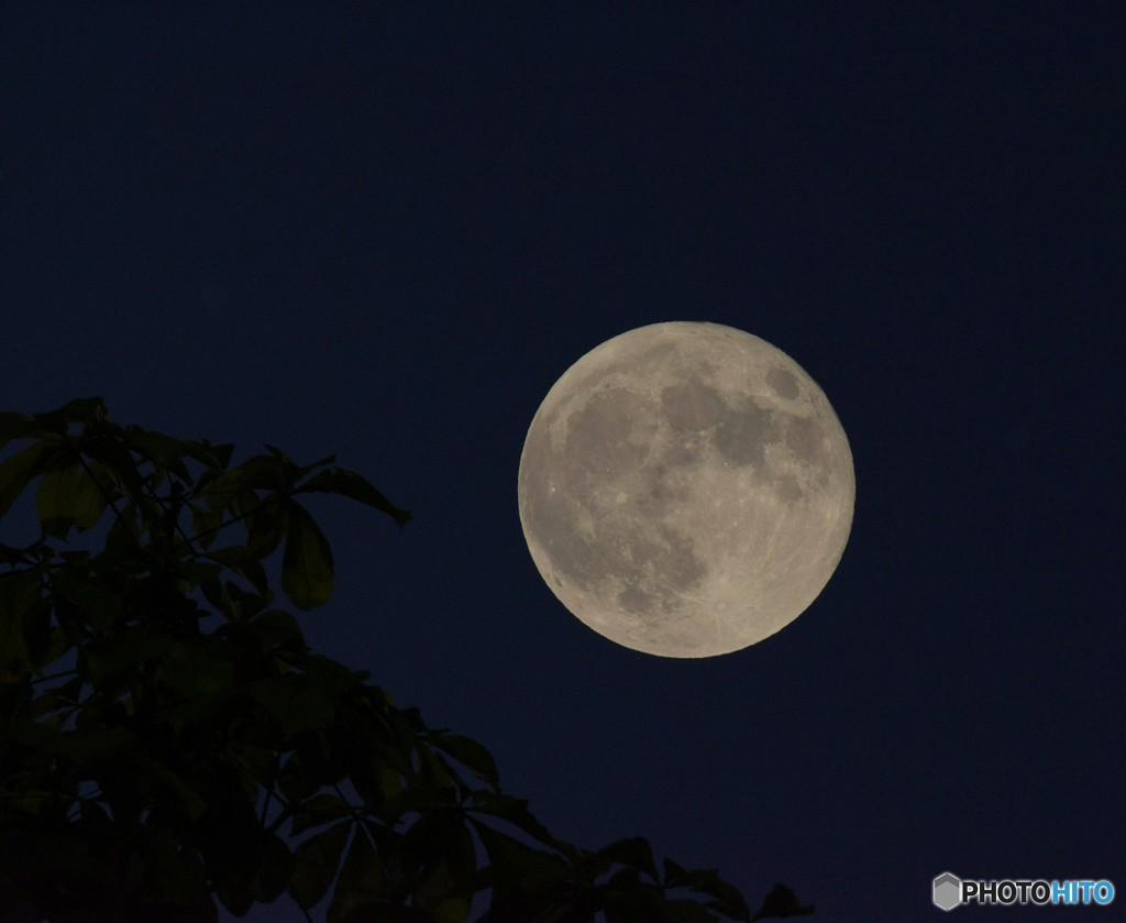 SUPER MOON!!