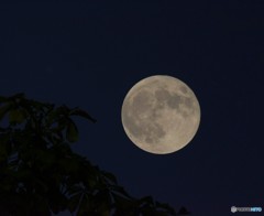 SUPER MOON!!