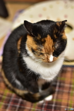 しみじみと
