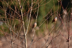 夫婦を越えてゆけ 夫婦を越えてゆけ