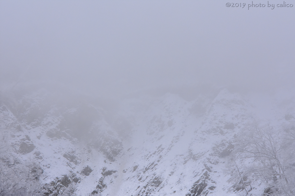 霧雪