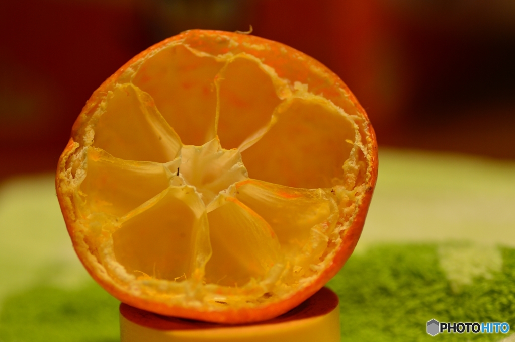 メジロが食べたみかん