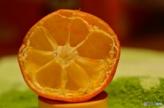 メジロが食べたみかん