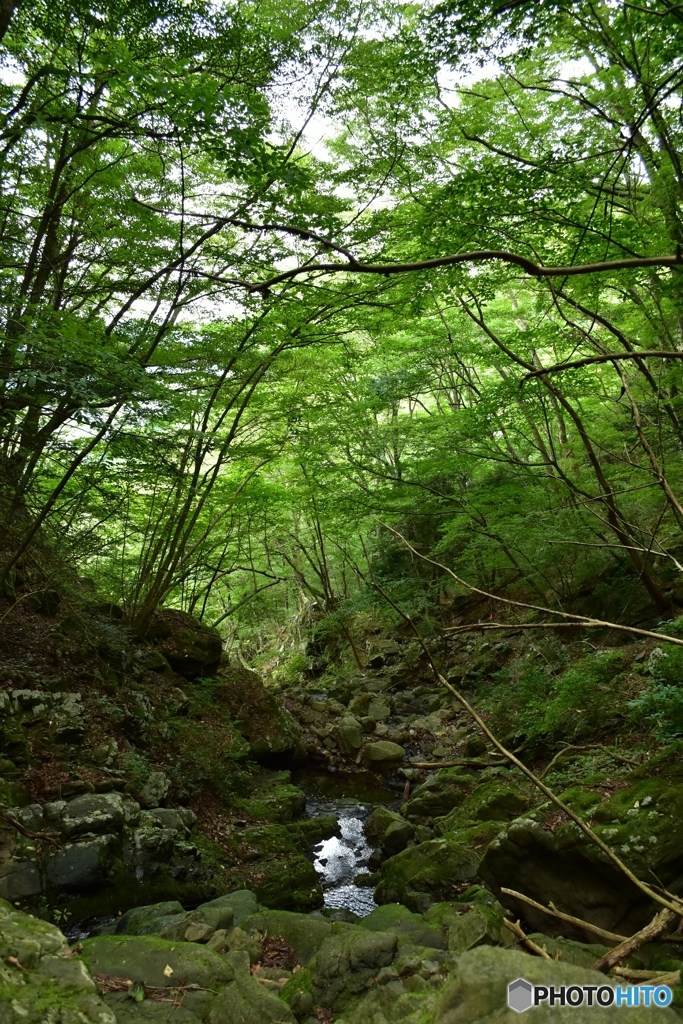 黒部沢源流