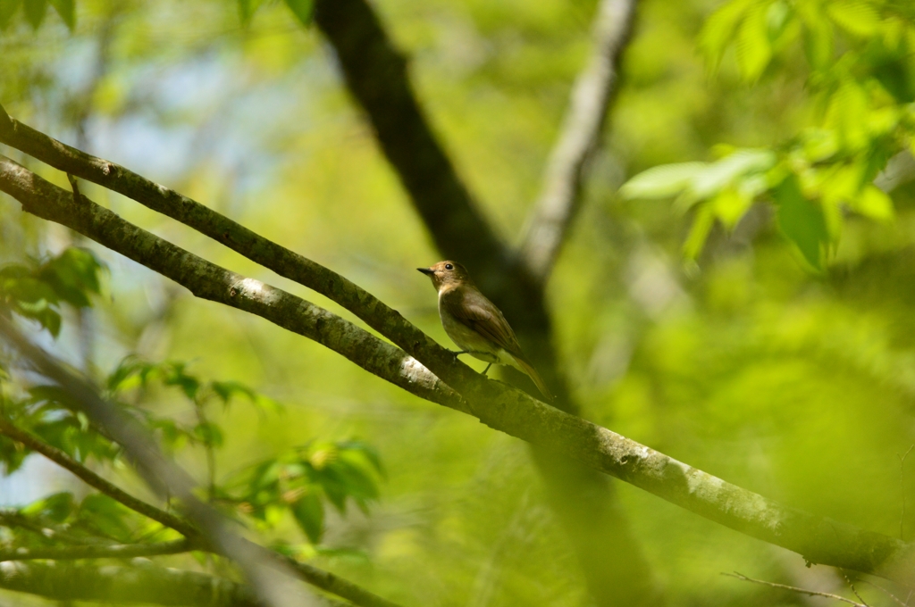 待たせたわね♪