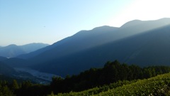 斜光