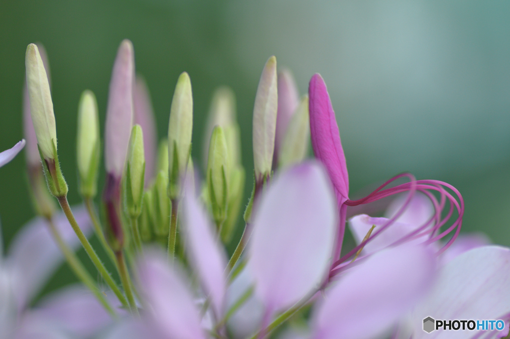 秘密のひととき