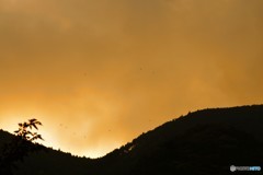 山に帰ろう