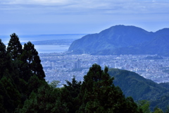 静岡の街