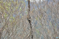 目が合ったね♪