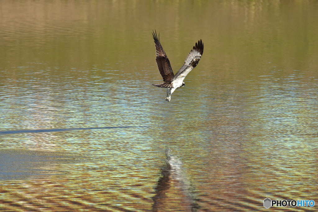 あきらめた後ろ姿