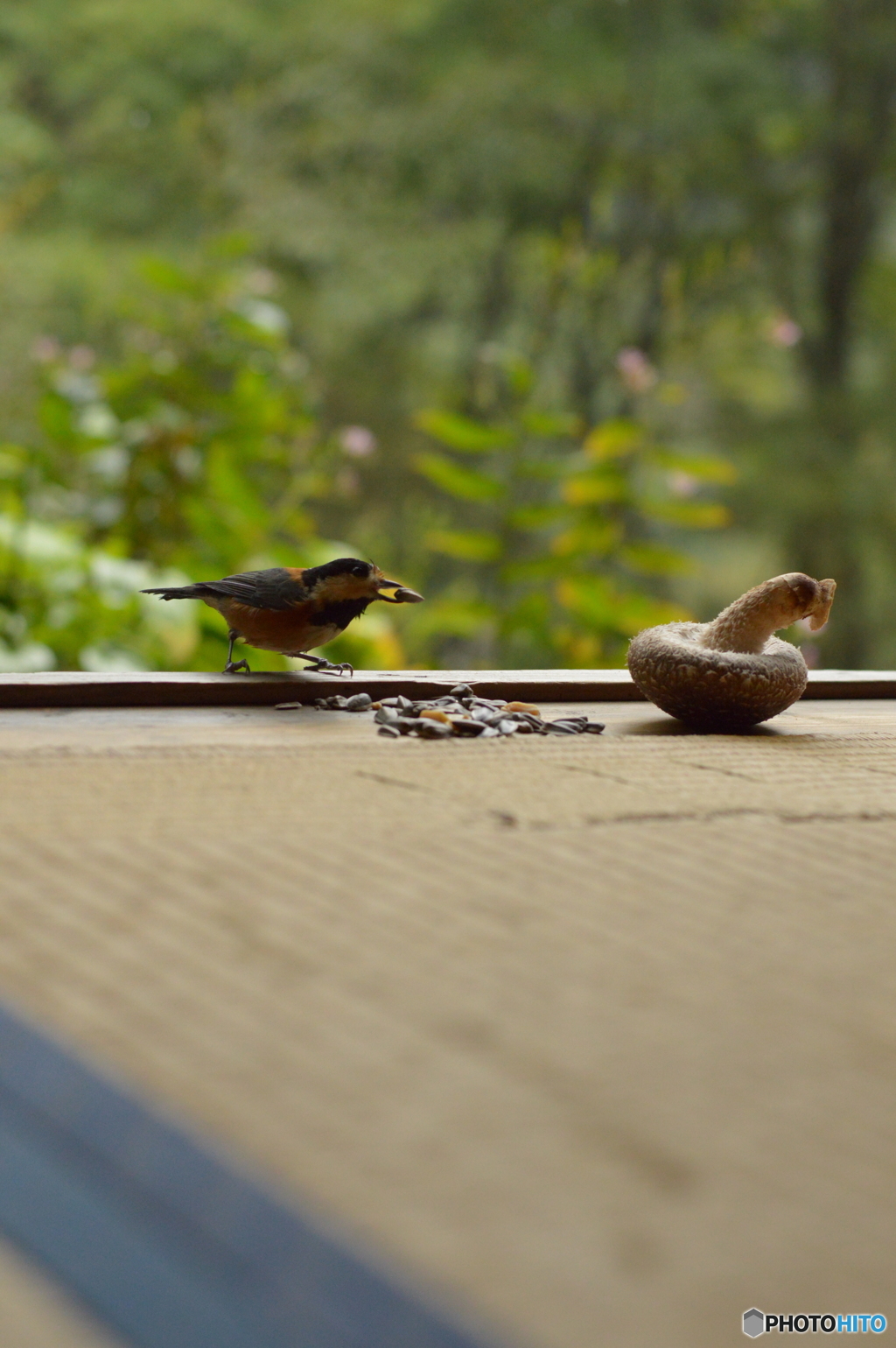 椎茸はいらないよ～♪