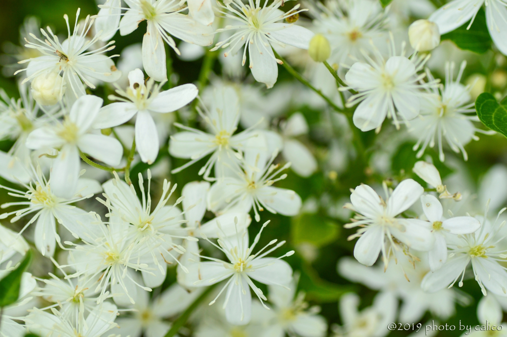 あふれるばかりの善意
