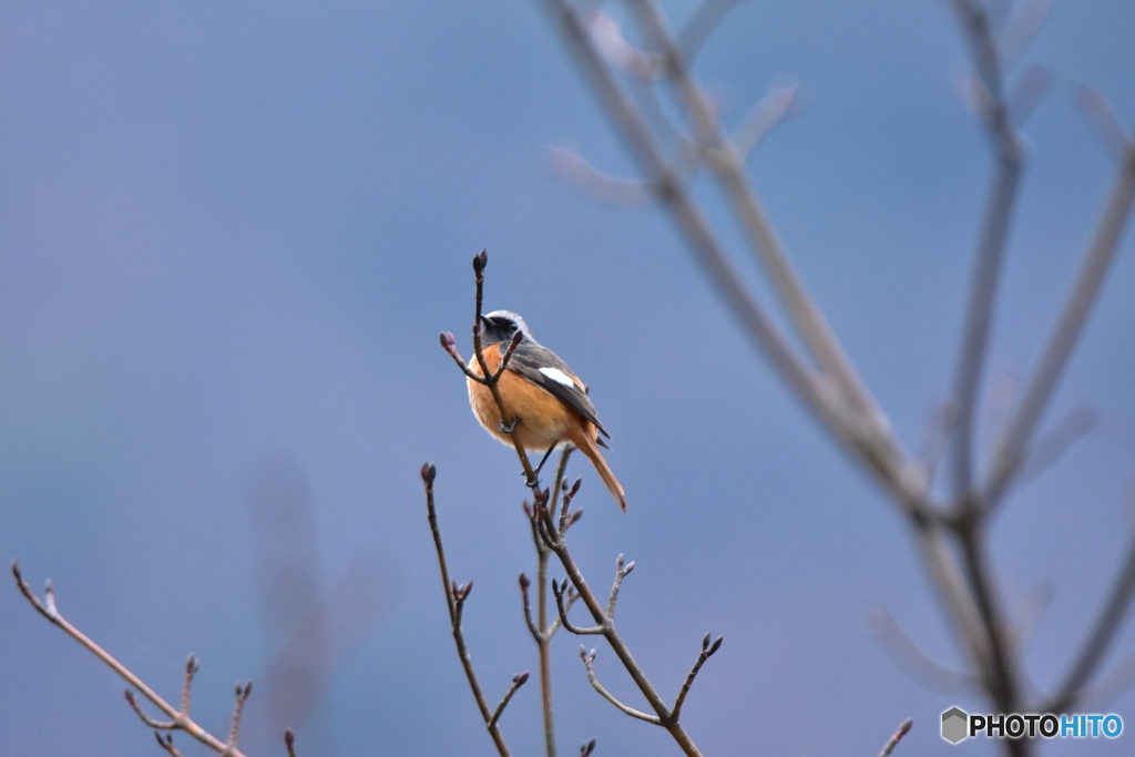 風のように爽やかに