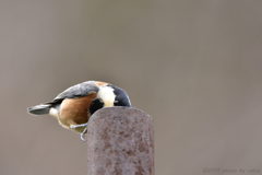 やっぱり気になる