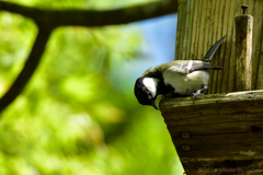 なんかうるさいなぁ… なんかうるさいなぁ…