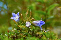 悲しんでいるあなたを愛する