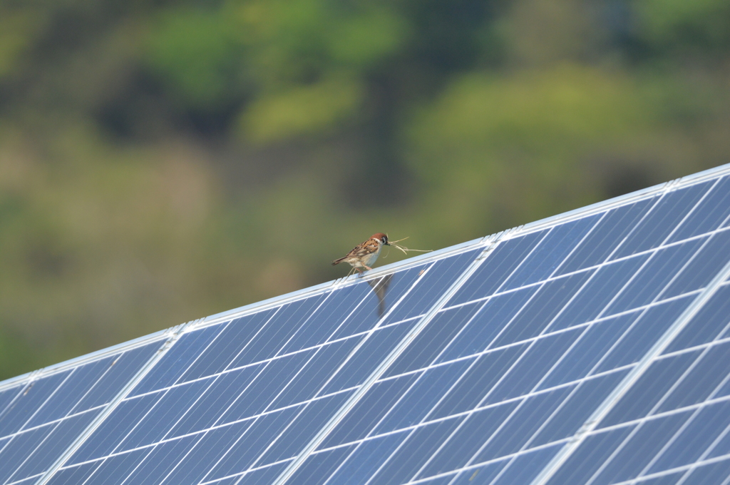 音は気にならないよ