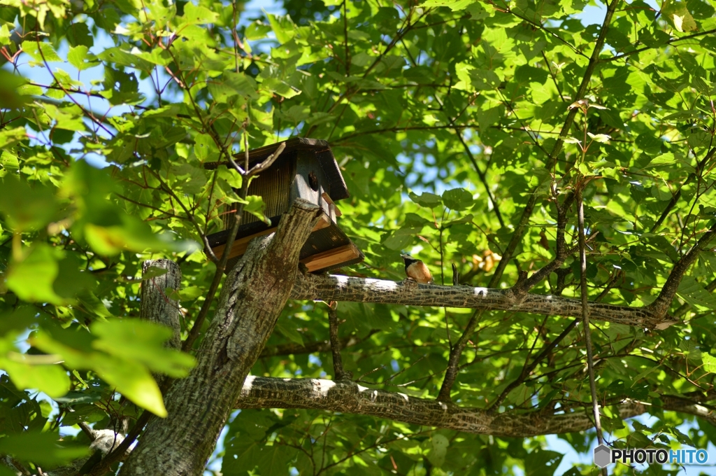 おや？お目が高いですね(´ｰ｀)