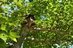 おや？お目が高いですね(´ｰ｀)