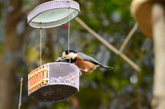 雪なんて関係ないもんね～♪