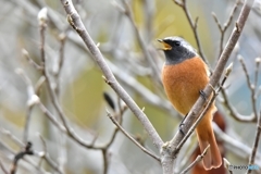 主役は僕だよ 主役は僕だよ