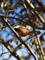 教えてあげないよ～