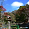 健在です＾＾