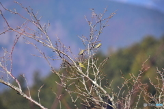 静けさに満ちた朝