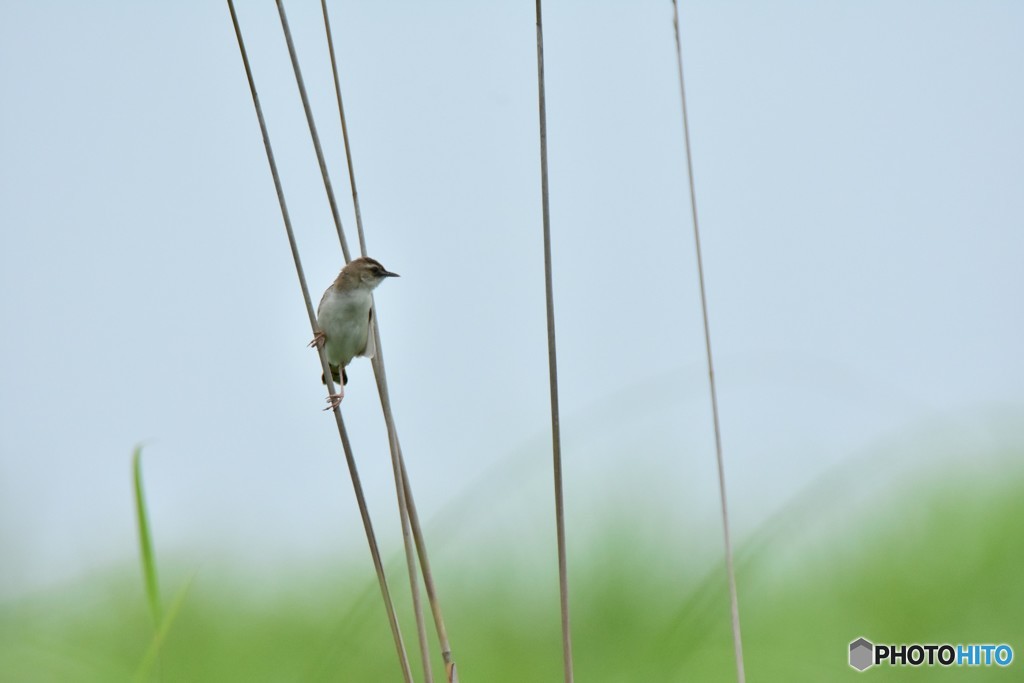 静かに流れる時間