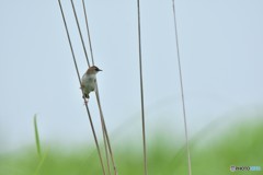 静かに流れる時間