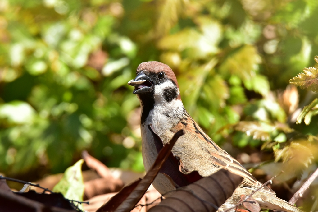 お残しは 許しません
