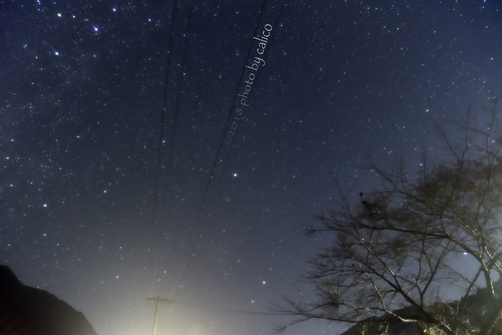 語り合う星々