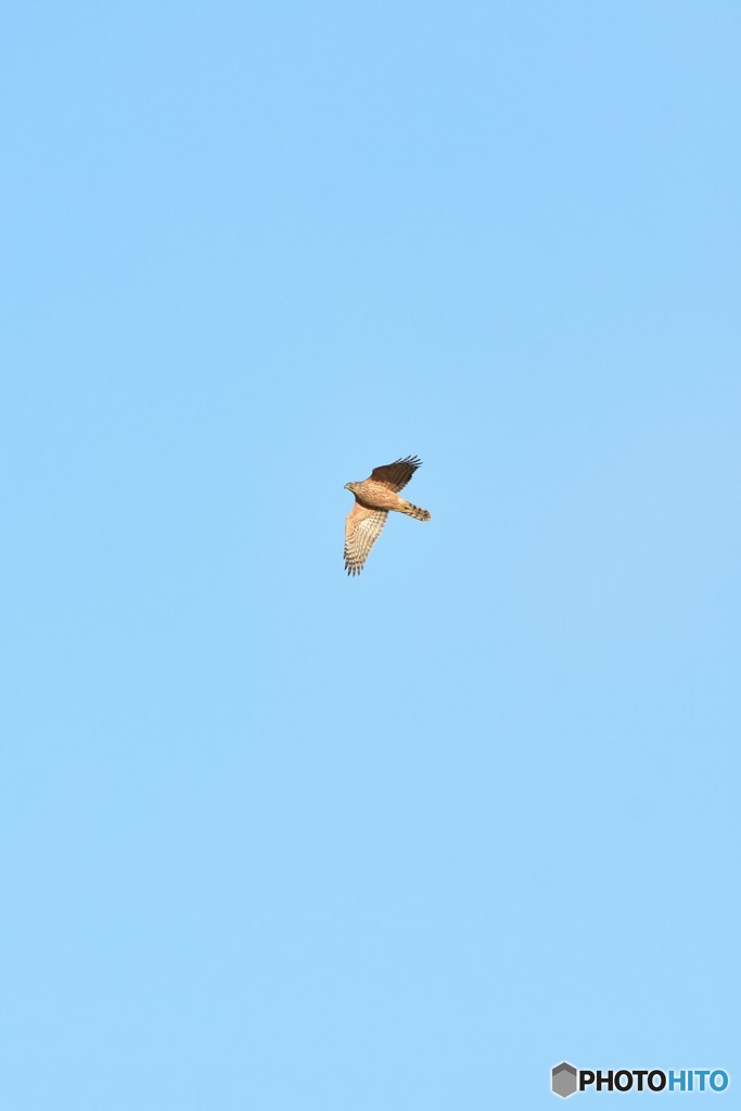 雪雲舞う中で ③