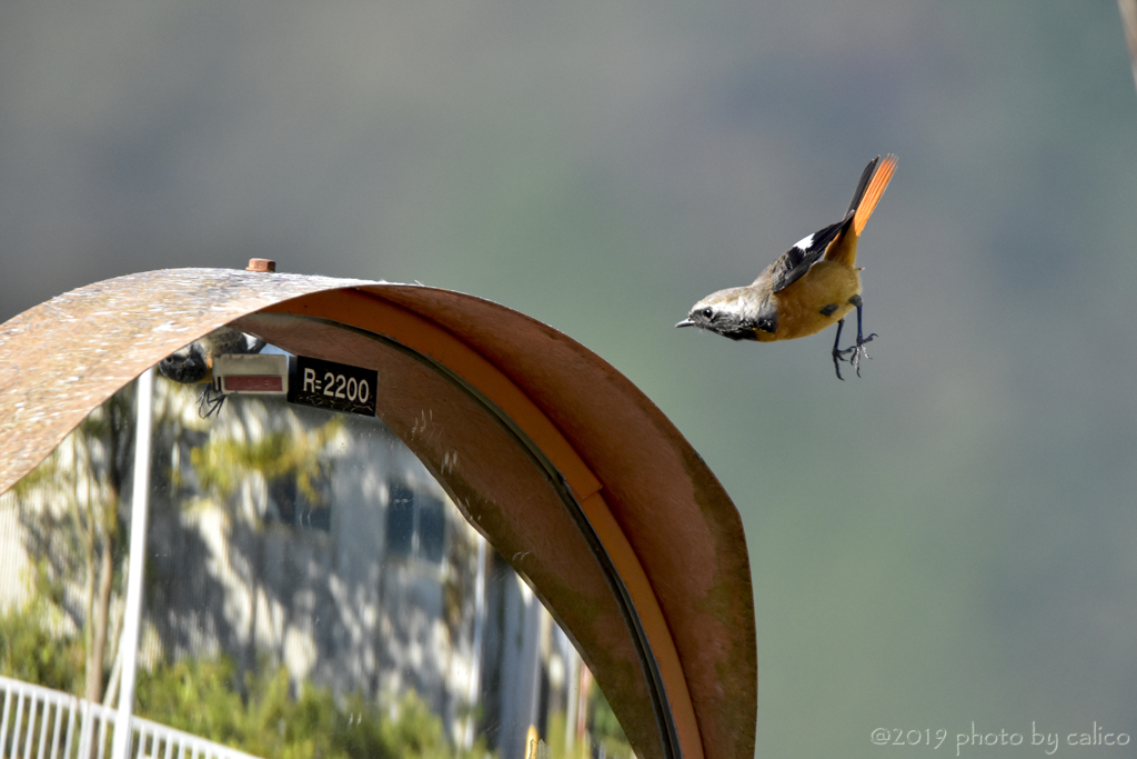 気に入らない Ⅱ