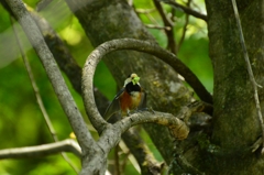 我が子のために②