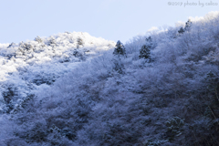 雪化粧 Ⅳ